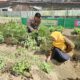 Polsek KPL Tano Gelar KRYD di Pelabuhan Poto Tano, Perketat Pengawasan Gerbang Pulau Sumbawa