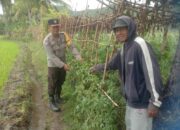 Bhabinkamtibmas Desa Rhee Gencarkan Ketahanan Pangan dengan Membantu Warga Manfaatkan Pekarangan