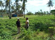 Sinergi Polri dan Warga Sekotong Barat Wujudkan Ketahanan Pangan Mandiri