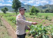 Dukung Program Asta Cita Swasembada Pangan, Bhabinkamtibmas Desa Beru Cek Pekarangan Bergizi Warga