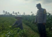 Bhabin Montong Are Garda Ketahanan Pangan dan Kamtibmas