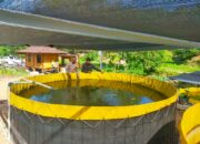 Bhabinkamtibmas Desa Tongo Dampingi Warga Kelola Pekarangan Pangan Bergizi