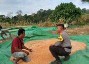 Bantu Kegiatan Petani di Desa Binaan, Bhabinkamtibmas Polsek Tambora Sukseskan Program Ketahanan Pangan Nasional