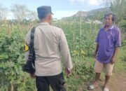 Bhabinkamtibmas Desa Benete Dampingi Warga dalam Pengelolaan Pekarangan Pangan Bergizi