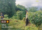 Bhabinkamtibmas Desa Luar Gencarkan Ketahanan Pangan di Dusun Stober, Ajak Warga Manfaatkan Lahan yang Kering