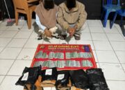 Tim Opsnal Satresnarkoba Polres Dompu Tangkap Dua Terduga Pengedar Obat Terlarang Jenis Tramadol