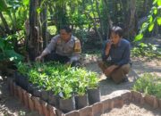 Bhabinkamtibmas Desa Tongo Dampingi Kegiatan Pengelolaan Pekarangan Pangan Bergizi