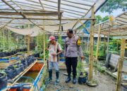 Pemanfaatan Pekarangan Rumah di Dusun Tempit Jadi Contoh Ketahanan Pangan Berbasis Warga