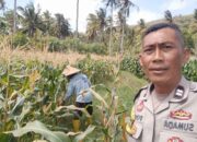 Kunjungan Humanis Bhabinkamtibmas di Dusun Tibu Baru, Dukung Pertanian Berkelanjutan