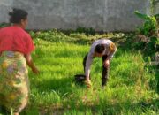 Ketahanan Pangan Desa Jagaraga Diperkuat Lewat Edukasi Bhabinkamtibmas