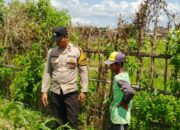 Bhabinkamtibmas Desa Labuapi Bantu Pasar Murah, Jaga Stabilitas Harga Pangan