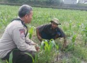 Warga Dusun Are Manis Diedukasi Tanam Sayuran untuk Swasembada Pangan