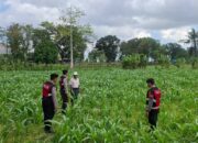 Polres Lombok Barat Dampingi Petani Gerung Utara Wujudkan Swasembada Pangan