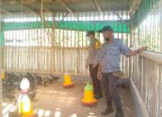 Ketahanan Pangan Dimulai dari Desa: Inisiatif Polri di Jagaraga, Kuripan