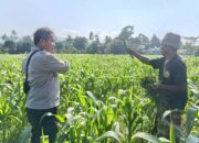 Sinergi Polri dan Warga Sandik Kembangkan Pertanian Pekarangan