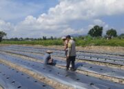 Polri dan Warga Montong Are Bersinergi Wujudkan Swasembada Pangan