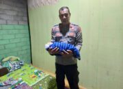 Temuan Bayi Laki-Laki di Dalam Kardus Gegerkan Warga, Polsek Kempo Bertindak Cepat