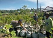 Bhabinkamtibmas Desa Dore Bara Pantau lahan pekarangan warga dalam rangka dukungan program ketahanan pangan nasional menuju Indonesia Emas 2045