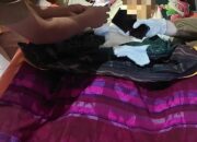 Seorang Pria Lansia di Moyo Hilir Ditemukan Meninggal Dunia Akibat Gantung Diri