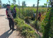 Polri Hadir di Tengah Petani, Jamin Ketahanan Pangan Melalui Patroli di Lombok Barat