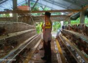 Bhabinkamtibmas Desa Jagaraga Dorong Warga Kuripan Utara Manfaatkan Pekarangan untuk Ketahanan Pangan