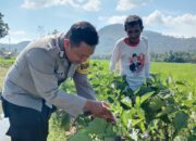 BHABINKAMTIBMAS DESA MOTENG DAMPINGI MASYARAKAT KELOLA LAHAN PANGAN KREATIF