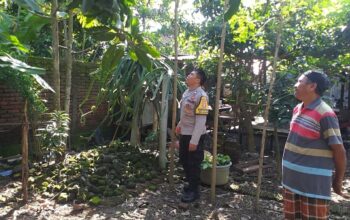 Polsek Kuripan Gandeng Warga Dusun Beremi Tingkatkan Kemandirian Pangan