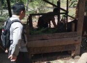 Warga Dusun Melase Antusias Sambut Program Pertanian Pekarangan yang Digagas Polsek Batulayar