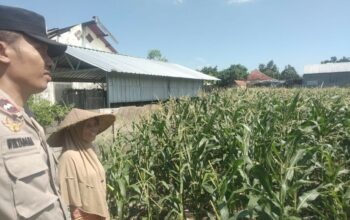 Bhabinkamtibmas Labuapi Dorong Petani Optimalkan Lahan Kosong untuk Ketahanan Pangan