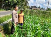 Polsek Kediri Dukung Petani Jagung Desa Gelogor untuk Wujudkan Ketahanan Pangan