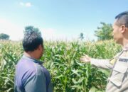 Polsek Labuapi Dorong Warga Desa Labuapi Manfaatkan Lahan Kosong untuk Ketahanan Pangan