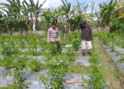 Polri Ajak Petani Jagaraga Maksimalkan Pekarangan untuk Ketahanan Pangan