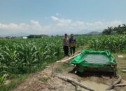 Bhabinkamtibmas Desa Dorebara Dampingi Petani Siapkan Lahan Tanam Jagung 2025