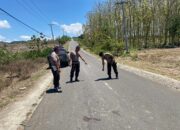 Kecelakaan Maut di Labangka Salah Seorang Pelajar Meninggal Dunia