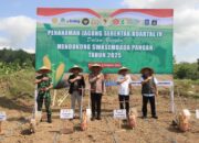 Polres Loteng Tanam Jagung Kuartal IV, Dukung Swasembada Pangan Nasional. ‎