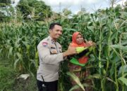 Polsek Labuapi Ajak Warga Optimalkan Pekarangan Demi Ketahanan Pangan