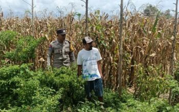 Langkah Praksis Polsek Gerung: Edukasi Pemanfaatan Lahan Kosong