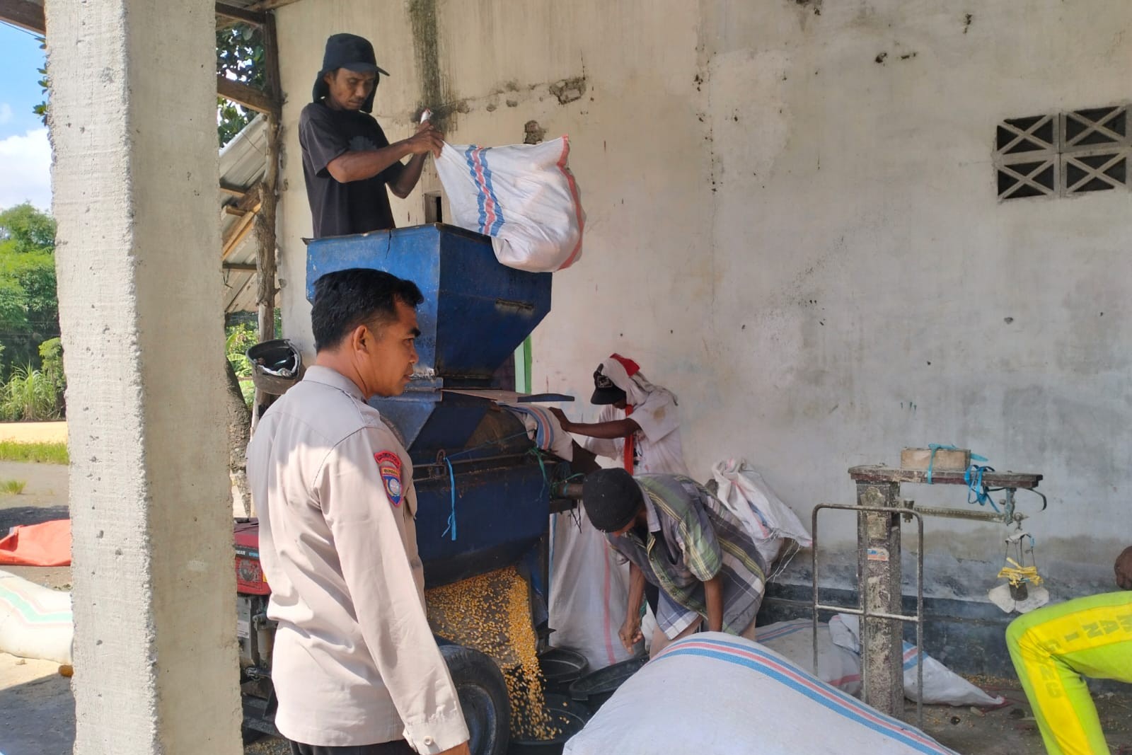 Sinergi Polri dan Bulog: Petani Lombok Barat Kini Lebih Sejahtera