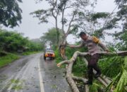 Gerak Cepat Polsek Asakota Evakuasi Pohon Tumbang yang Menutup Akses Jalan Umum di Ncai Kapenta