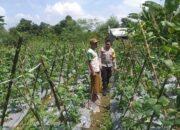 Bhabinkamtibmas Lombok Barat Dorong Warga Manfaatkan Pekarangan Jadi Lumbung Pangan