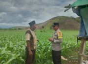 Bripka Heri Laksanakan Pemantauan Lahan untuk Perkuat Ketahanan Pangan Masyarakat