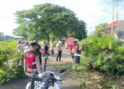 Polres Loteng Evakuasi Pohon Tumbang di Praya.