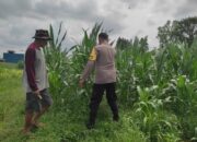 Polri Dukung Pangan: Bhabinkamtibmas Labuapi Ajak Warga Tanam di Pekarangan