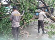 Polres Bima Kota Respon Cepat Bersihkan Pohon Tumbang di Seputar Gudang Bulog Jatiwangi dan Kelurahan Sarae