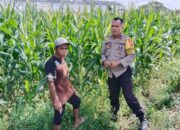 Polsek Labuapi Kawal Ketahanan Pangan di Bagik Polak