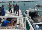 Singgah di Pulau Maringkik, 6 Orang Imigran Gelap Ditangkap Polisi dan diserahkan ke Imigrasi.