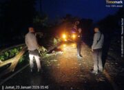 Pastikan Jalur Lintas Tetap Aman, Polsek Labuhan Badas Amankan TKP Pohon Tumbang di Karang Dima