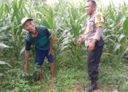 Polres Lombok Barat Kawal Program Swasembada Pangan di Labuapi