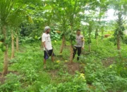 Edukasi Pemanfaatan Lahan Kosong oleh Bhabinkamtibmas Jagaraga