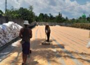 Polres Lombok Barat Kawal Ketahanan Pangan di Desa Dasan Tapen